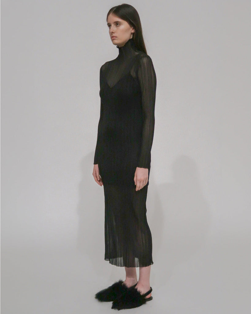 SHEER PLISSE TURTLENECK